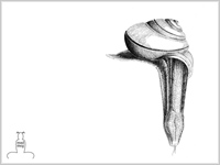 fondecran